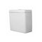 Duravit Caro Cistern With Mechanism